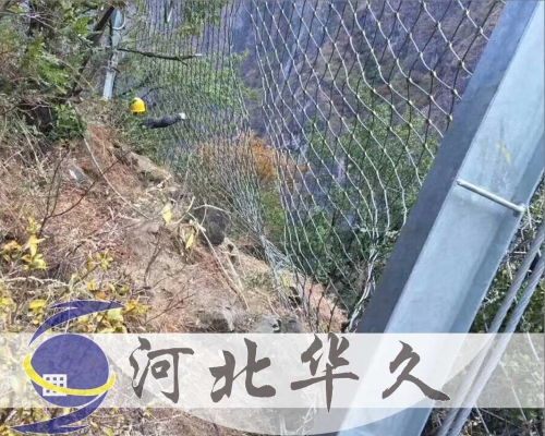 被動防護網