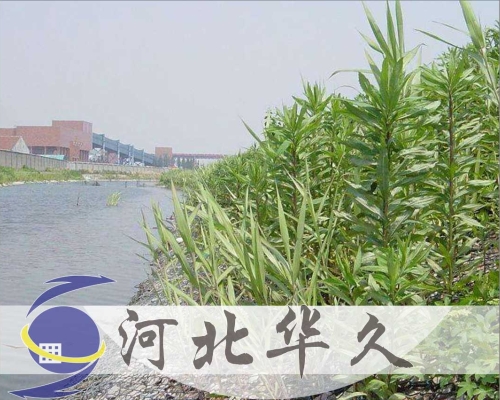 河道防護網