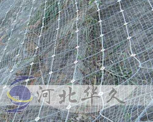 主動(dòng)防護(hù)網(wǎng)
