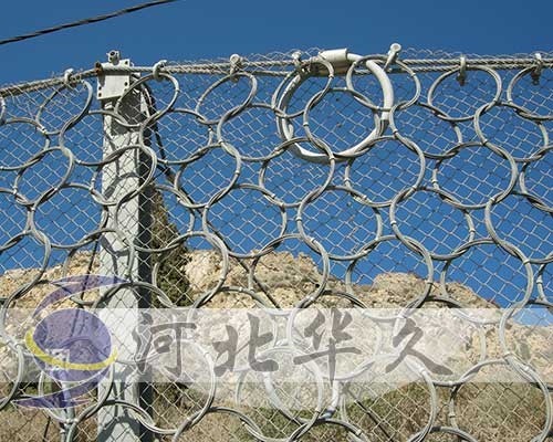 被動(dòng)防護(hù)網(wǎng)